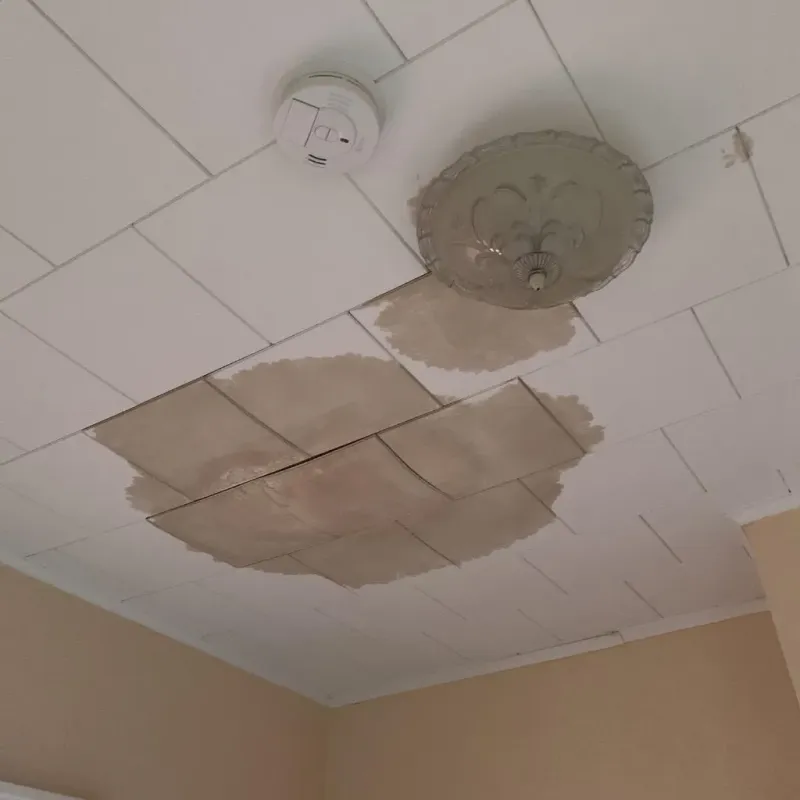 Ceiling Water Damage Repair in Crystal City, MO