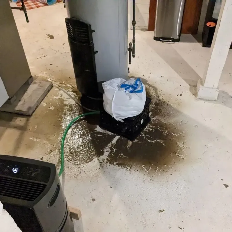 Sewage Backup Cleanup Service in Crystal City, MO